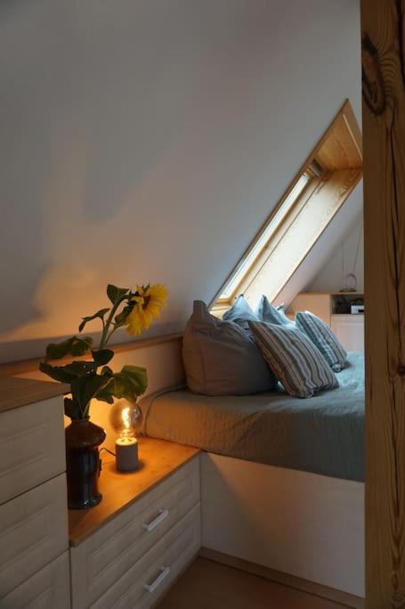 Apartment Mit Ausblick Im Dresdner Suedwesten เดรสเดน ภายนอก รูปภาพ